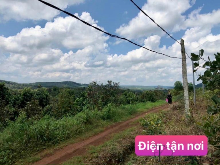 Đất SHR xã Đắk Ru, Đắk R’Lấp 1065m2 giá 350 triệu