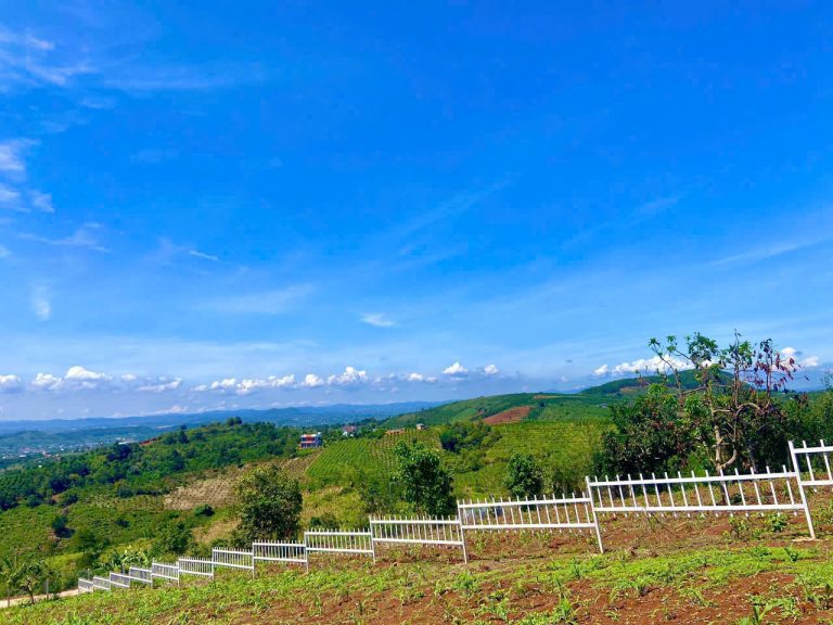 Bán Đất View Đồi Cực Đẹp Nam Hà, Lâm Hà – Phân Lô Sẵn, Sổ Riêng, Giá Từ 1.19 Tỷ